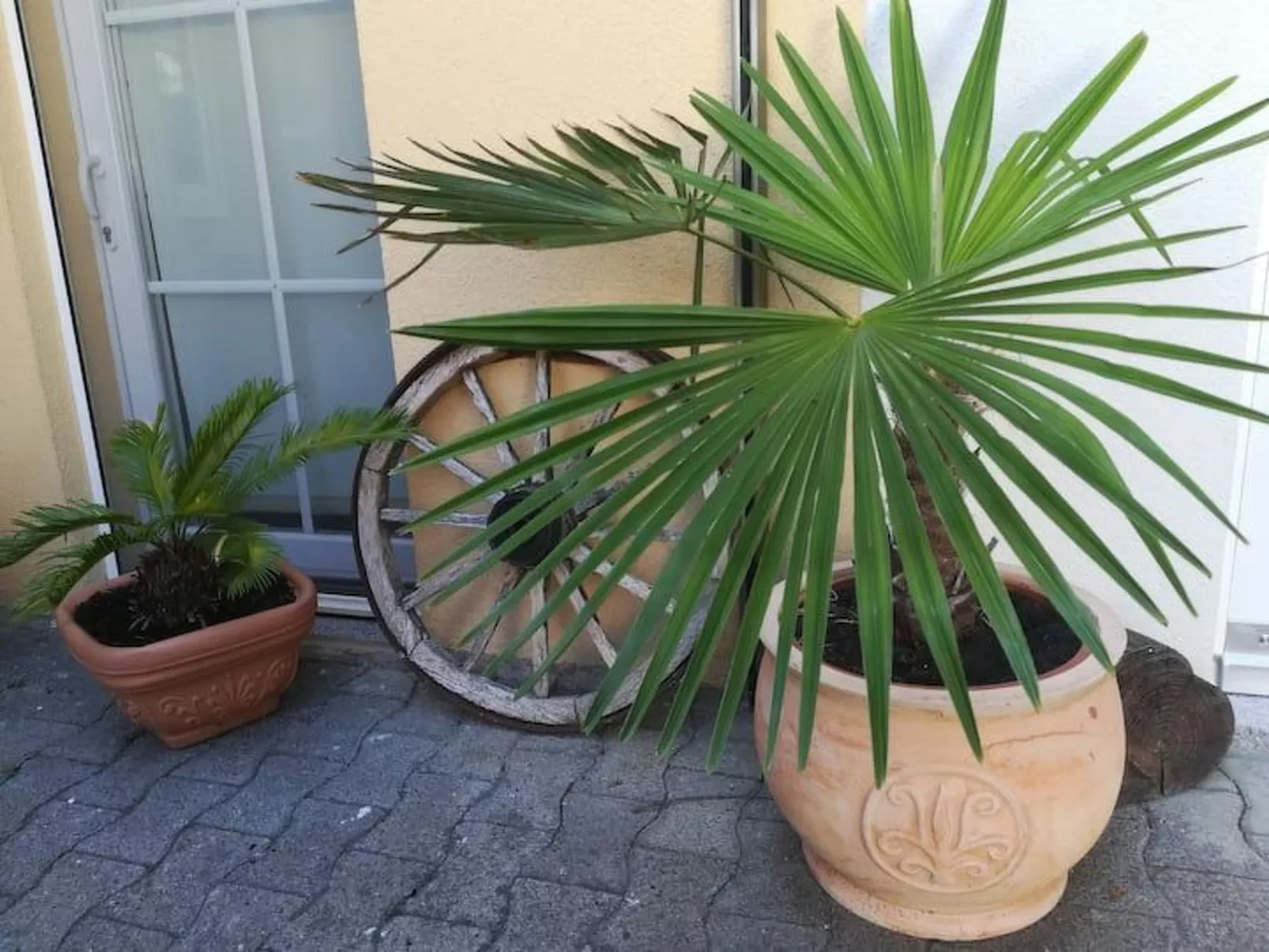 Tolle Ferienwohnung in Burkheim-Outside