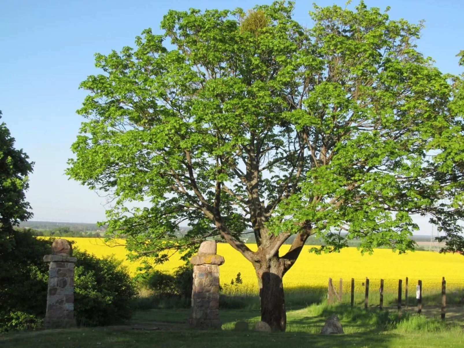 - Uns lütt Hüsung-Image-tags.info