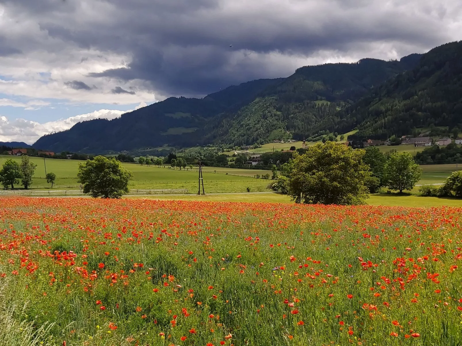 Moderne Wohnung in Pöls mit großer Terrasse-Outside