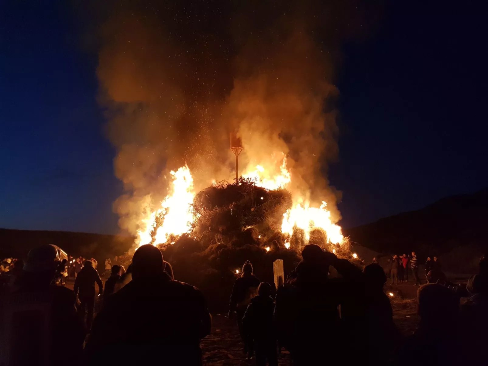 Strandfloh in Hörnum-Draußen