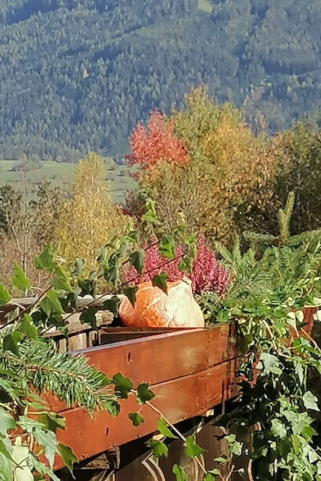 Riedbach in Mutters-Outside