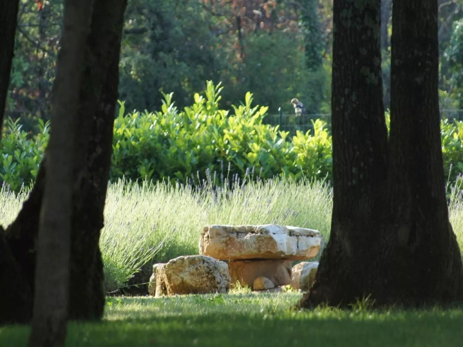 In Karigador mit Terrasse, Whirlpool und Garten-Dehors
