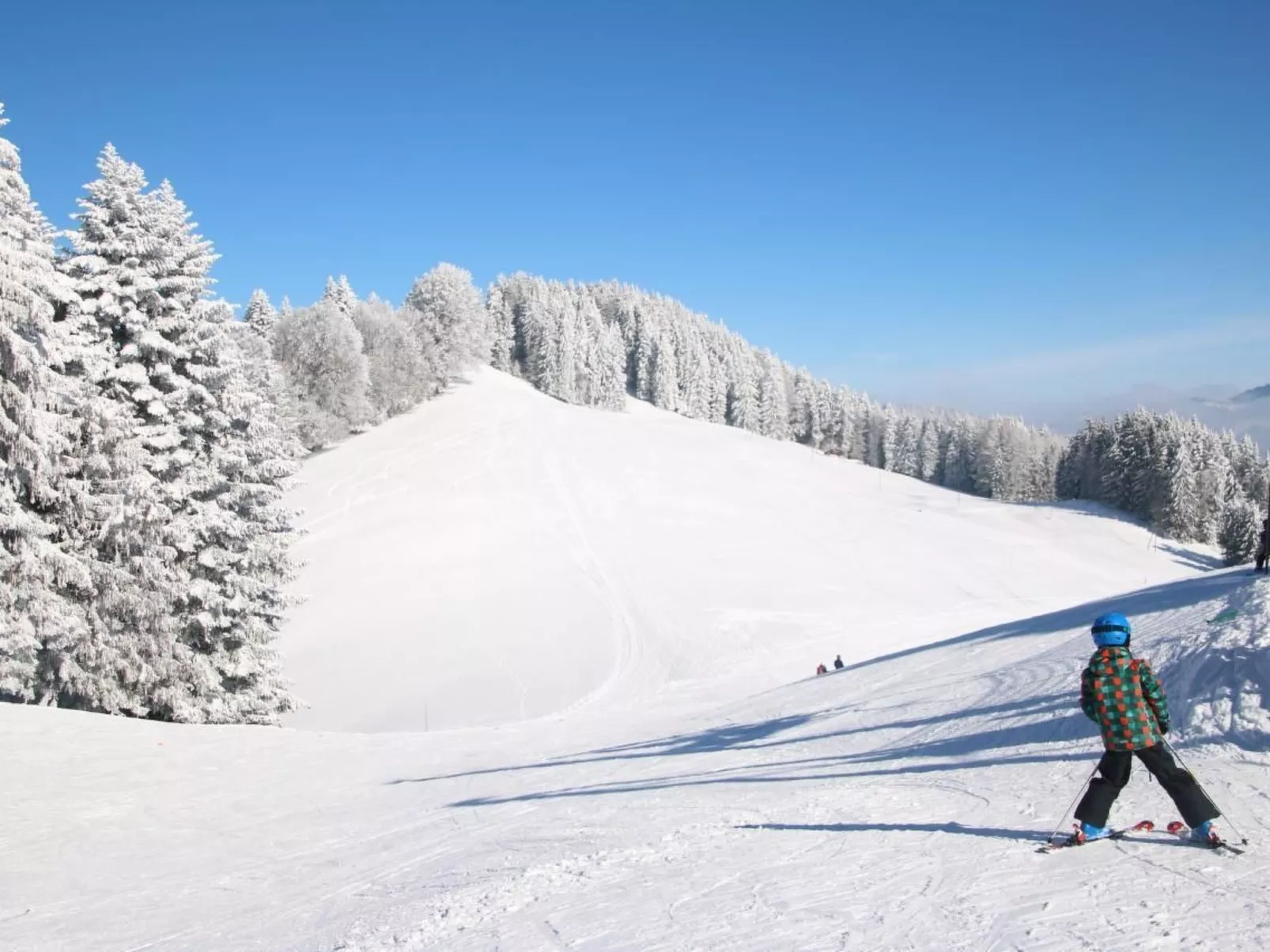 Les Narcisses,Blonay-Dehors