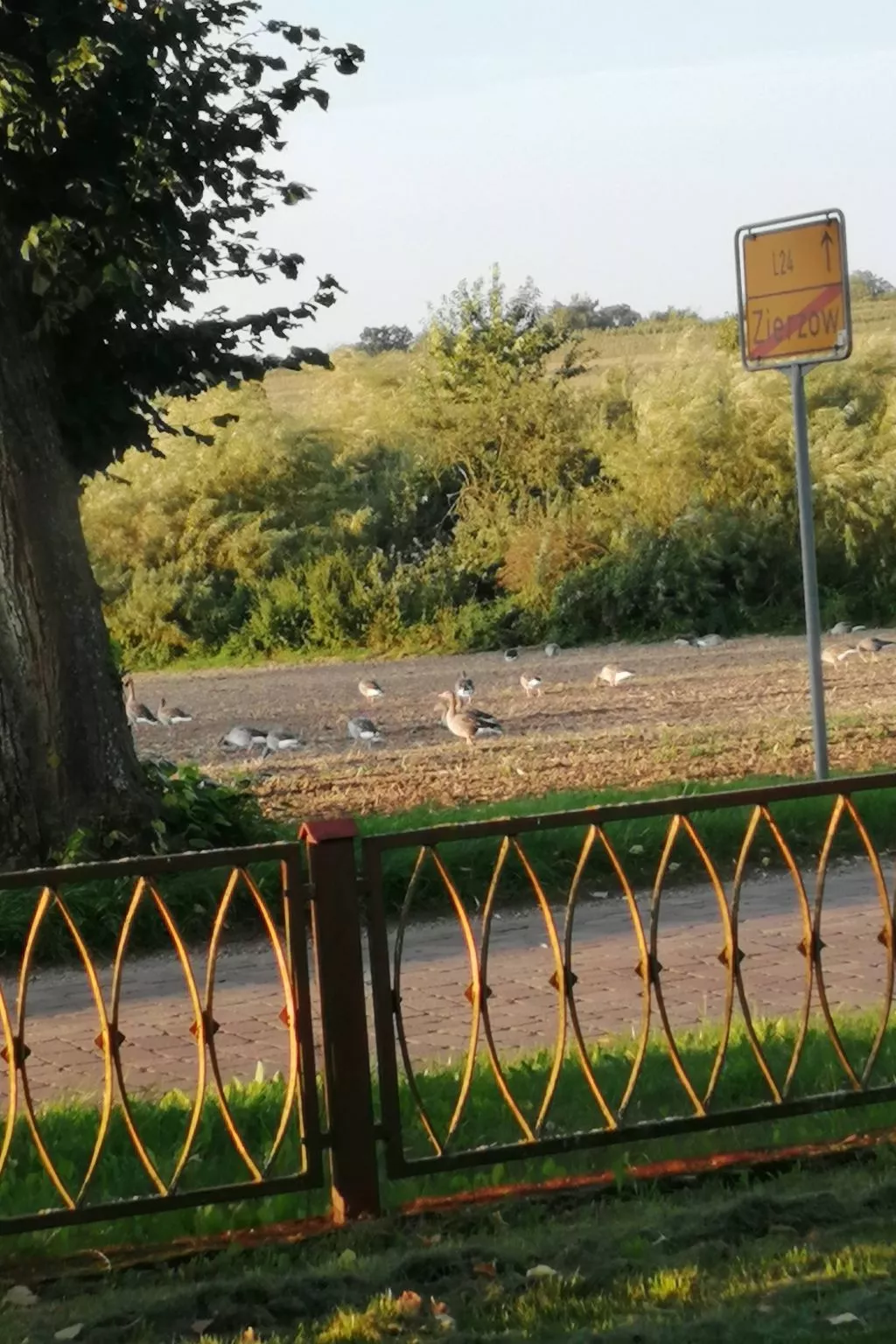 Landhaus Müritzliebe-Image-tags.info