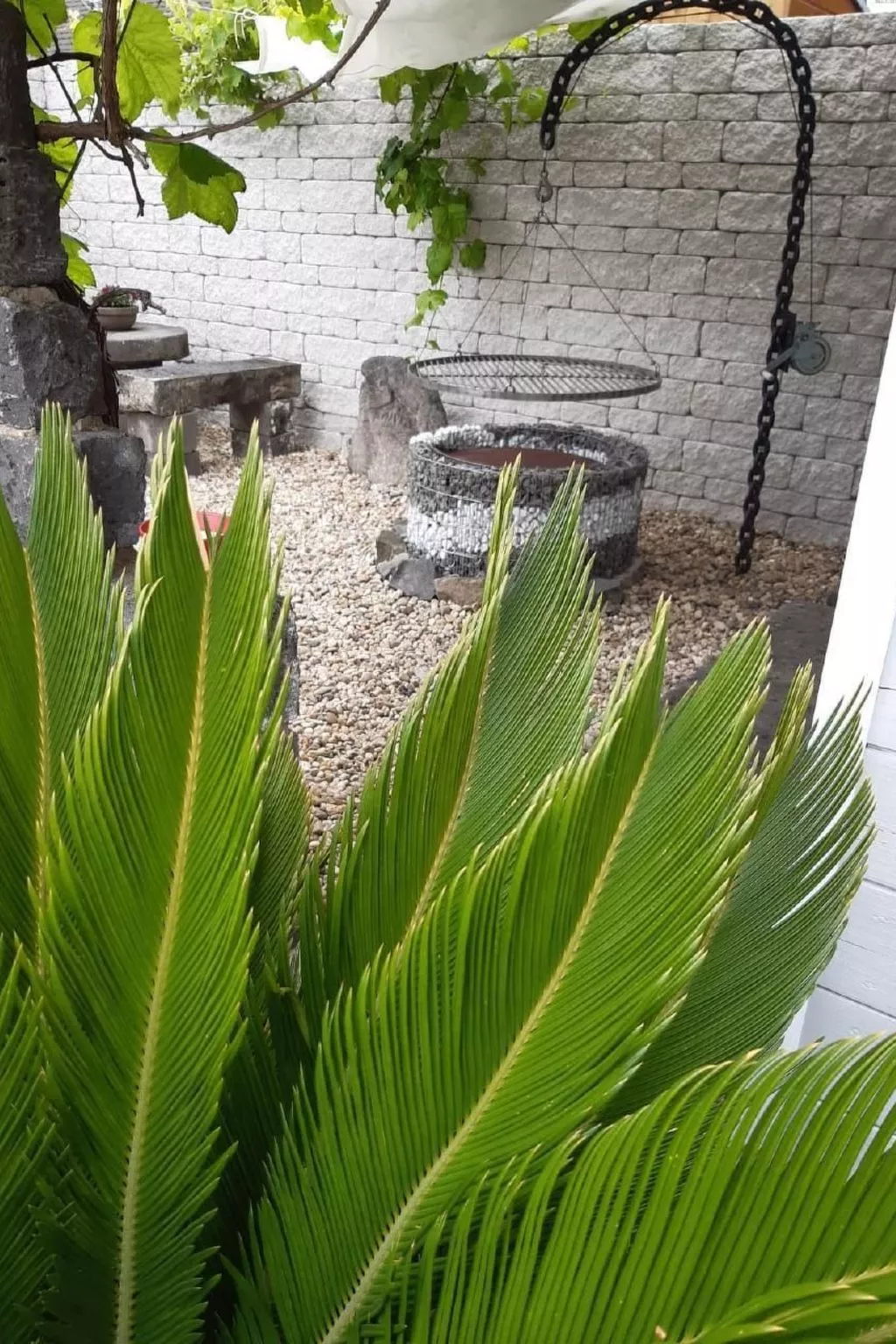 Sandra´s Ferienwohnung mit Pool-Dehors