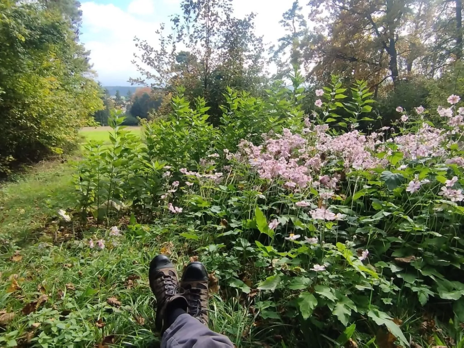 Waldhaus auf Randen-Outside