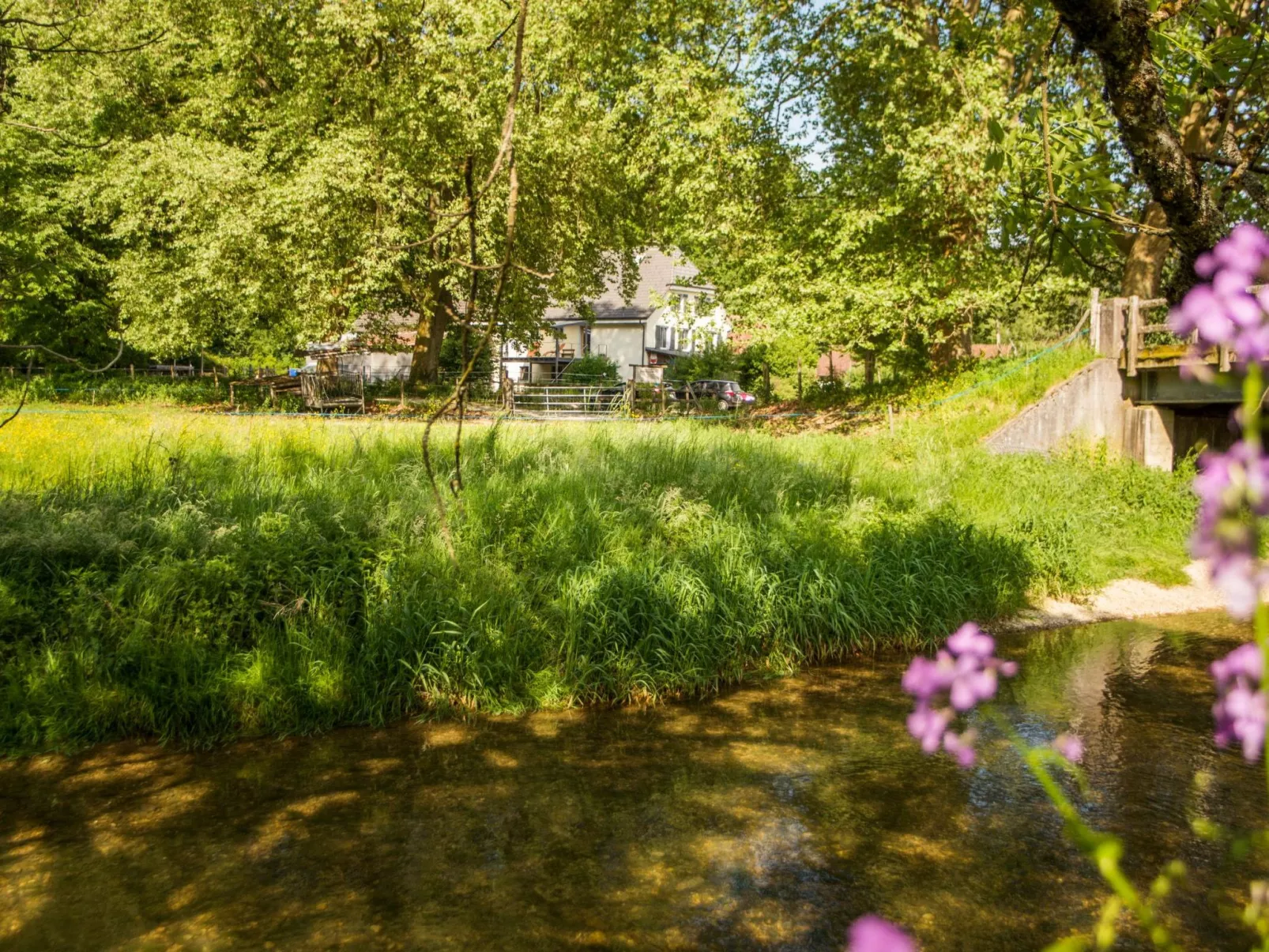 Leben "Im Herzen der Farm"-Draußen