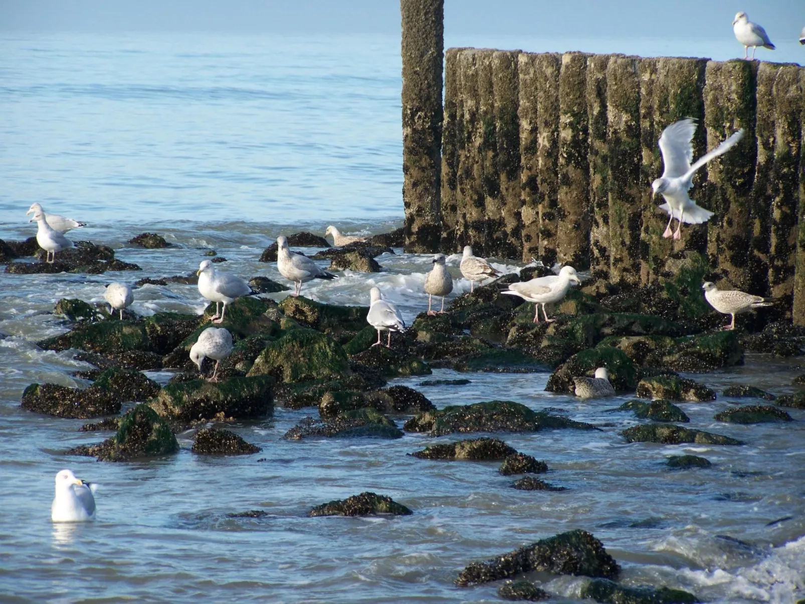 Gemütliches Haus mit komplett umzäuntem Garten-Outside