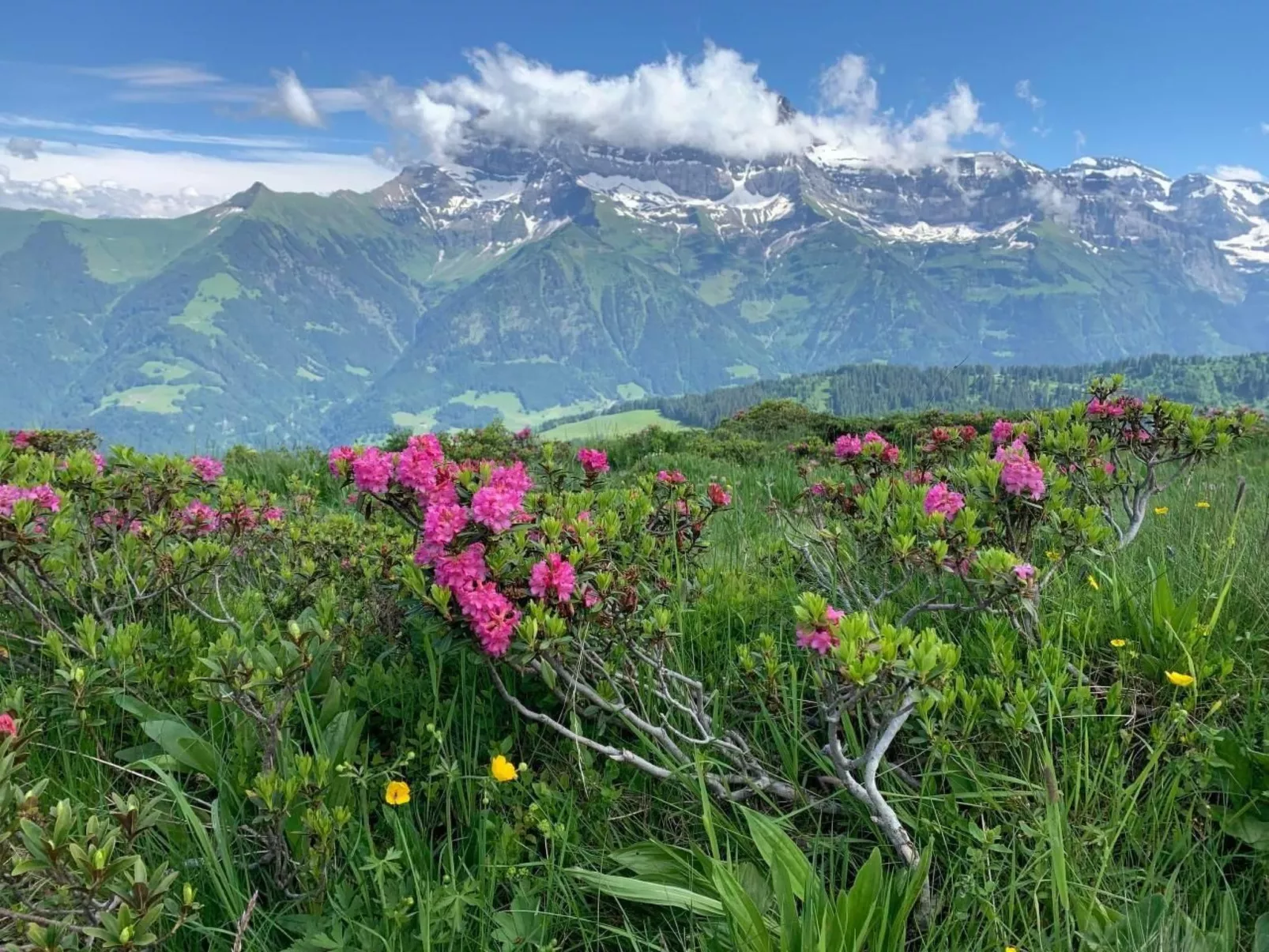 Peak App., Morgins-Image-tags.info