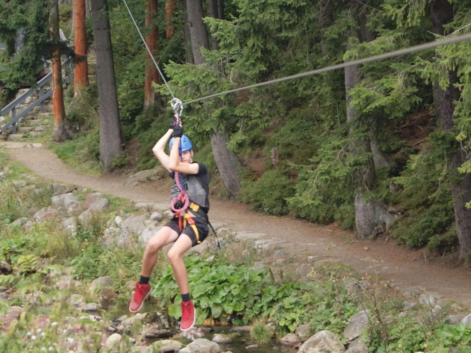 In natürlicher Umgebung-Draußen