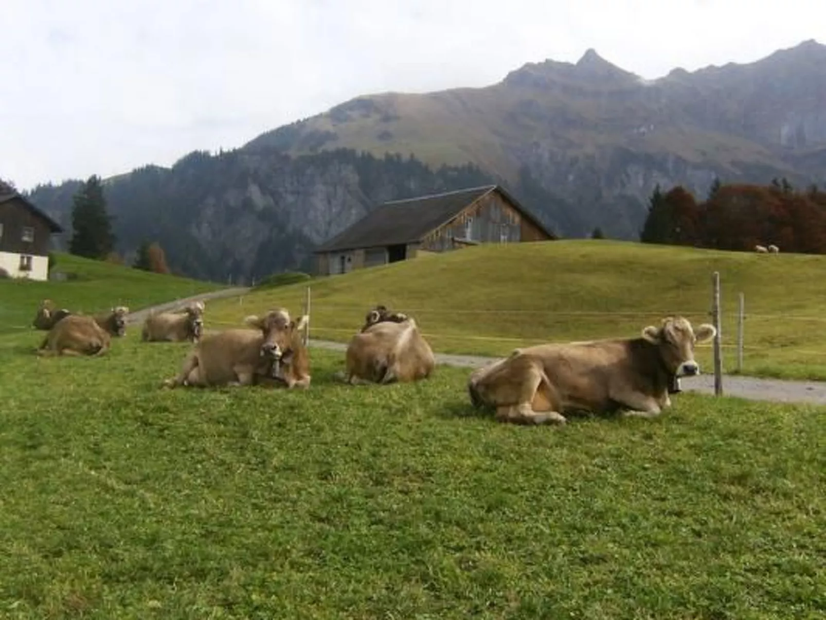 Ferien im grünen rechts-Dehors