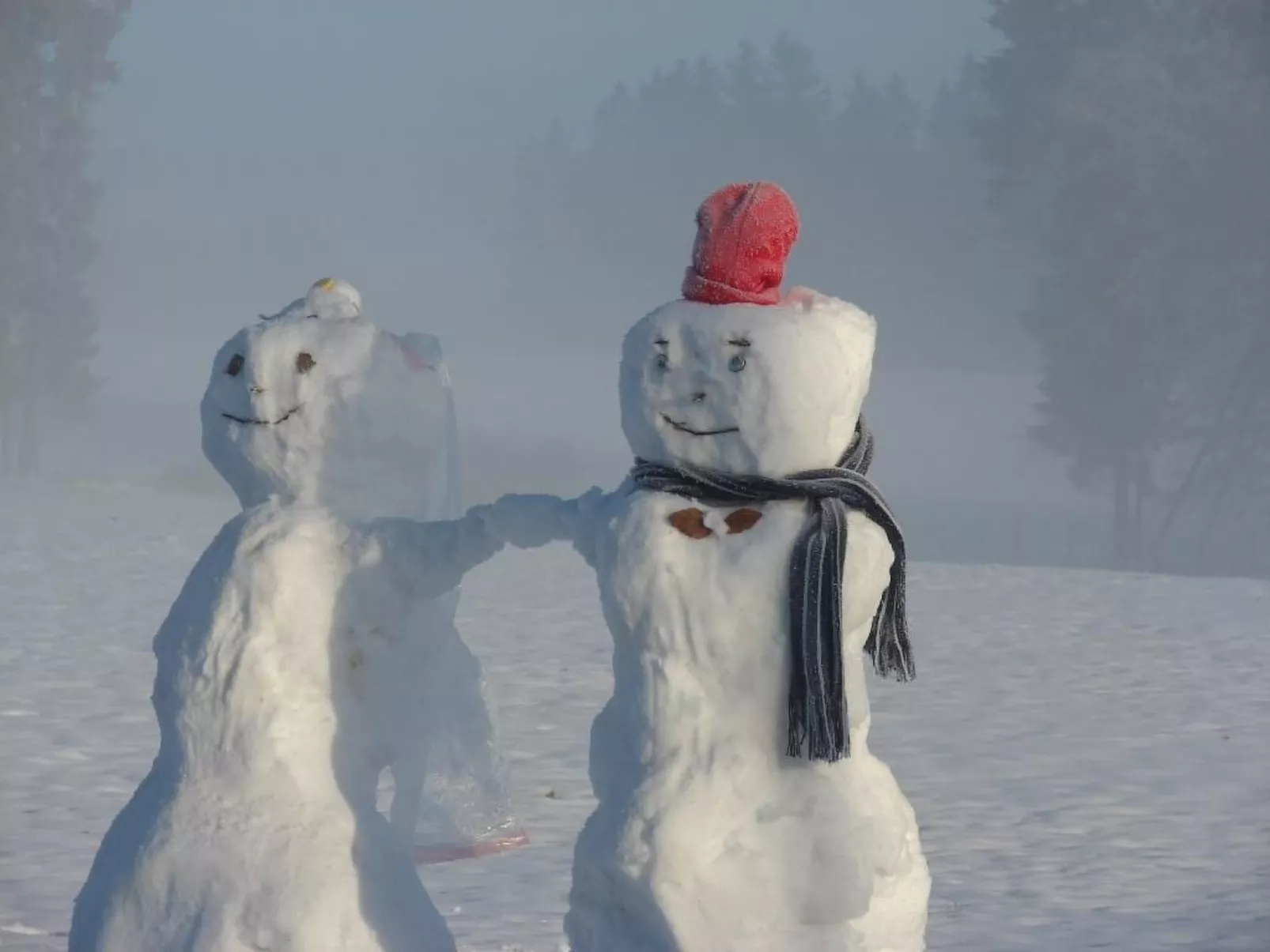 Snowview Lodge-Draußen