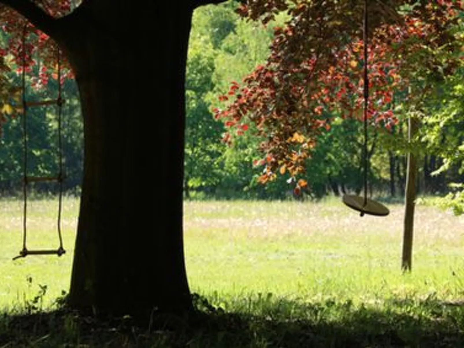 Heidebos für 8 Personen-Draußen