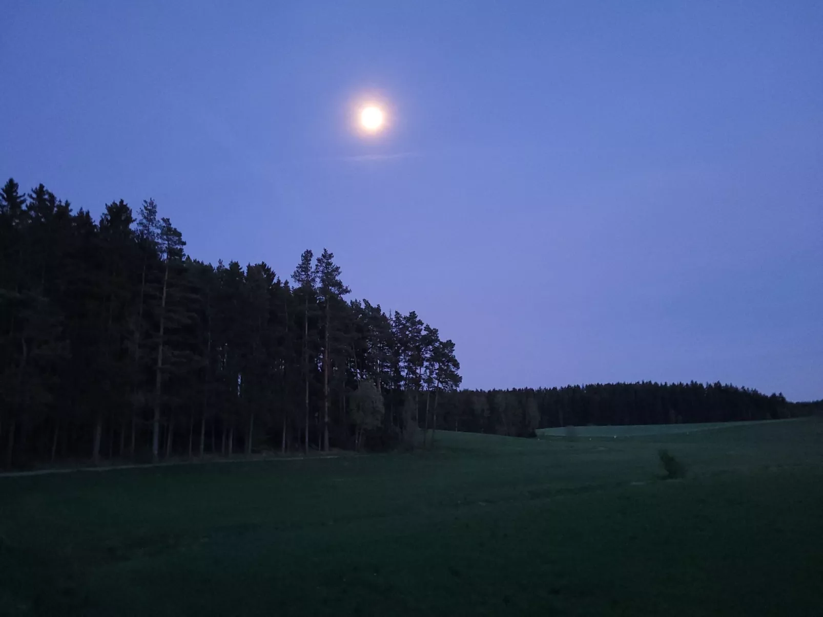 Fichtel-Pod gegen Aufpreis mit Sauna oder Hot Tub-Image-tags.info