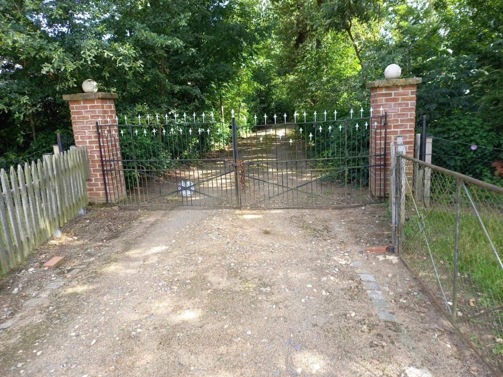 Haus Elbrose inmitten von Rosen mit Elbdeichzugang-Dehors