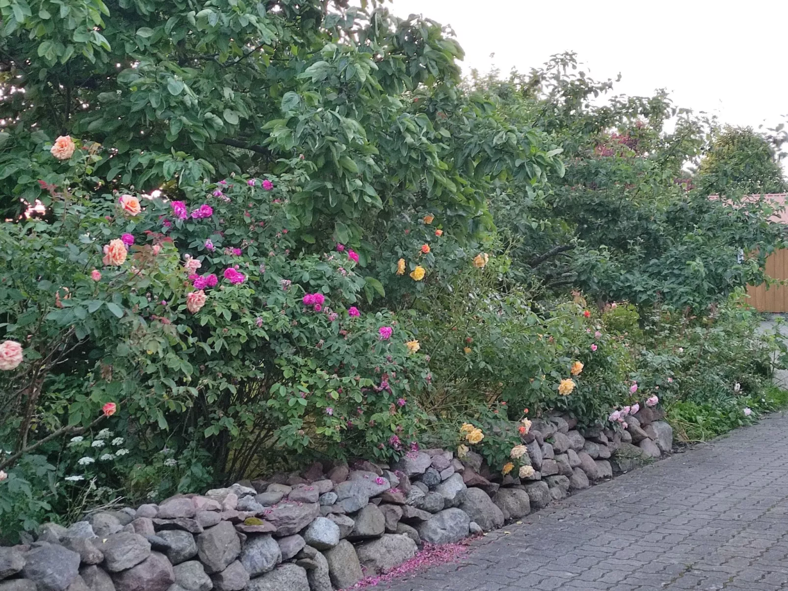 Janet Ratschkowski-Outside