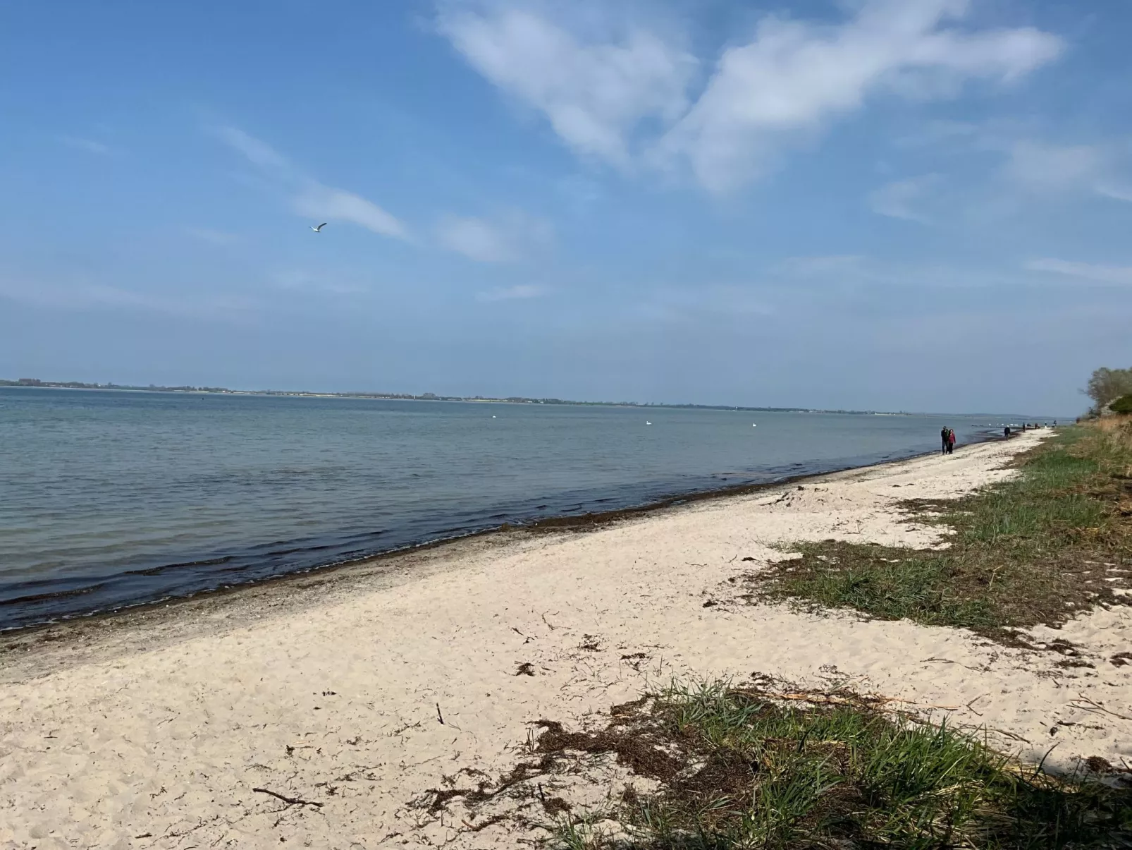 In Hoben mit Grill und Terrasse-Draußen