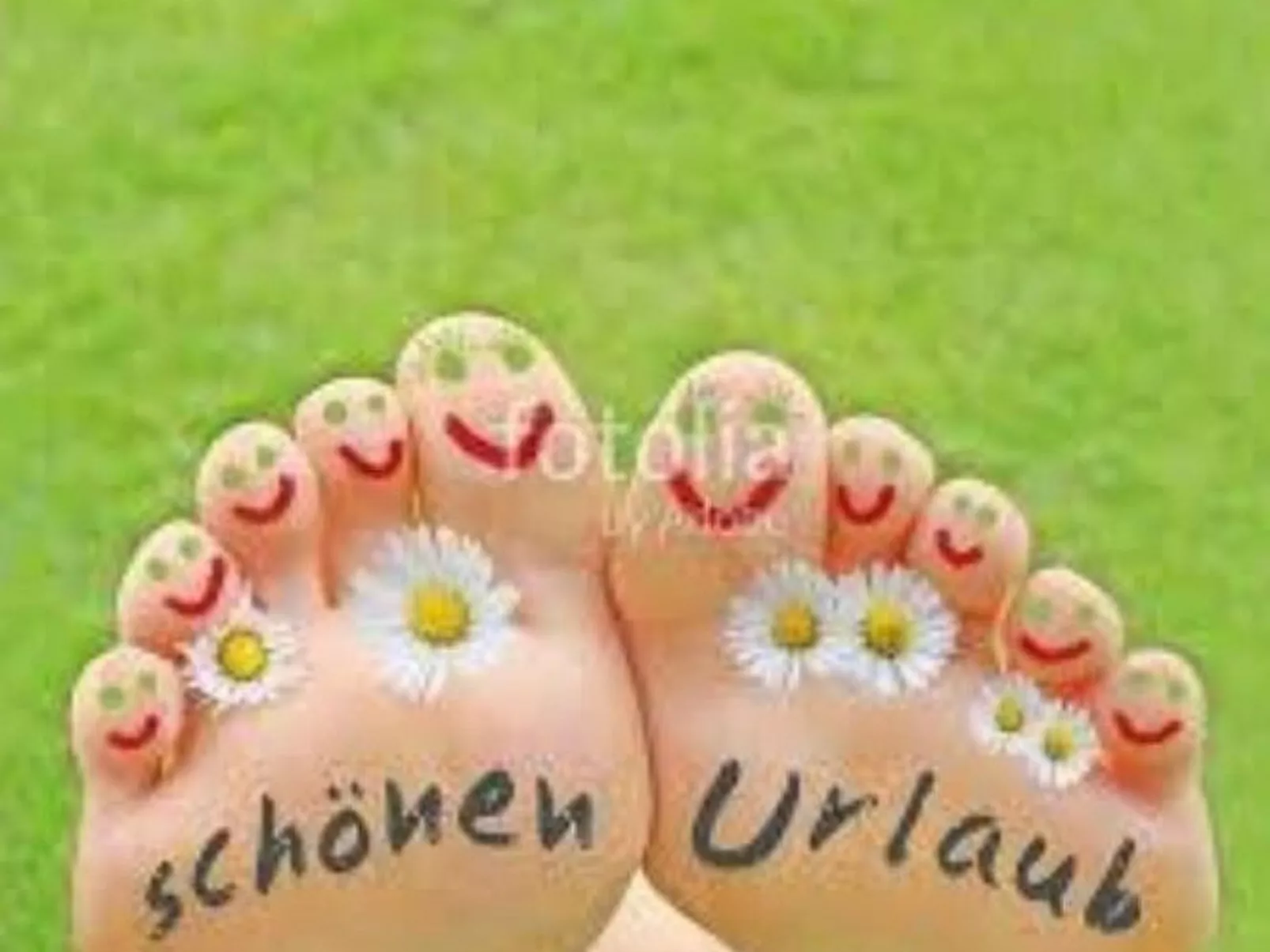 Eifelhäuschen-Image-tags.info