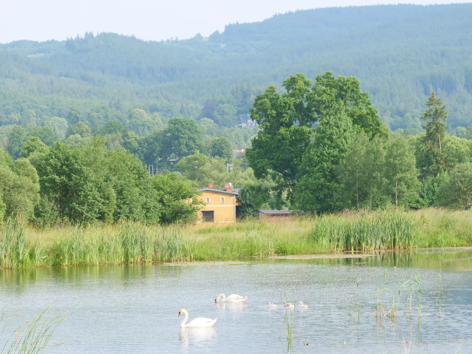 Für eine große Familie oder eine Gruppe von Freunden-Outside