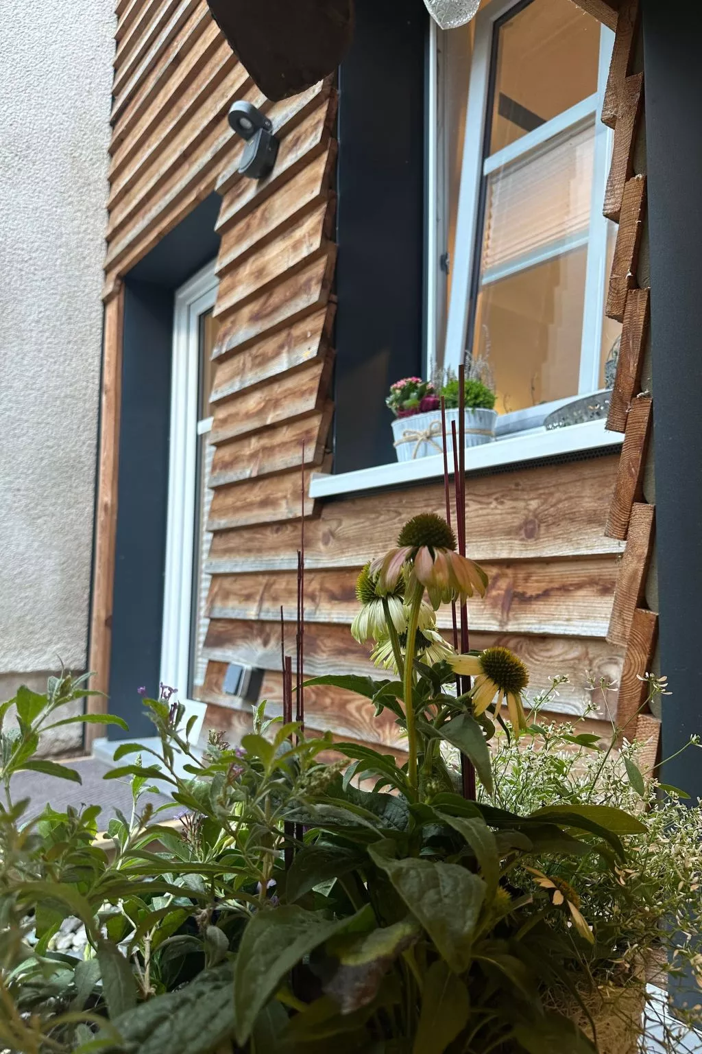 Altes Korbmacherhaus-Dehors