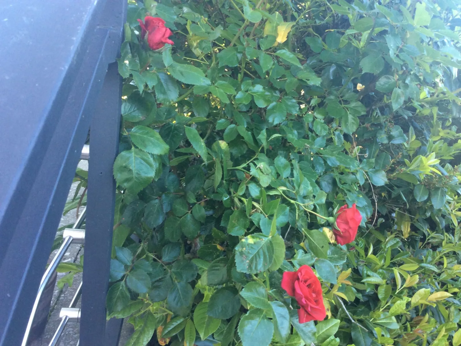 Appartement mit Balkon-Outside