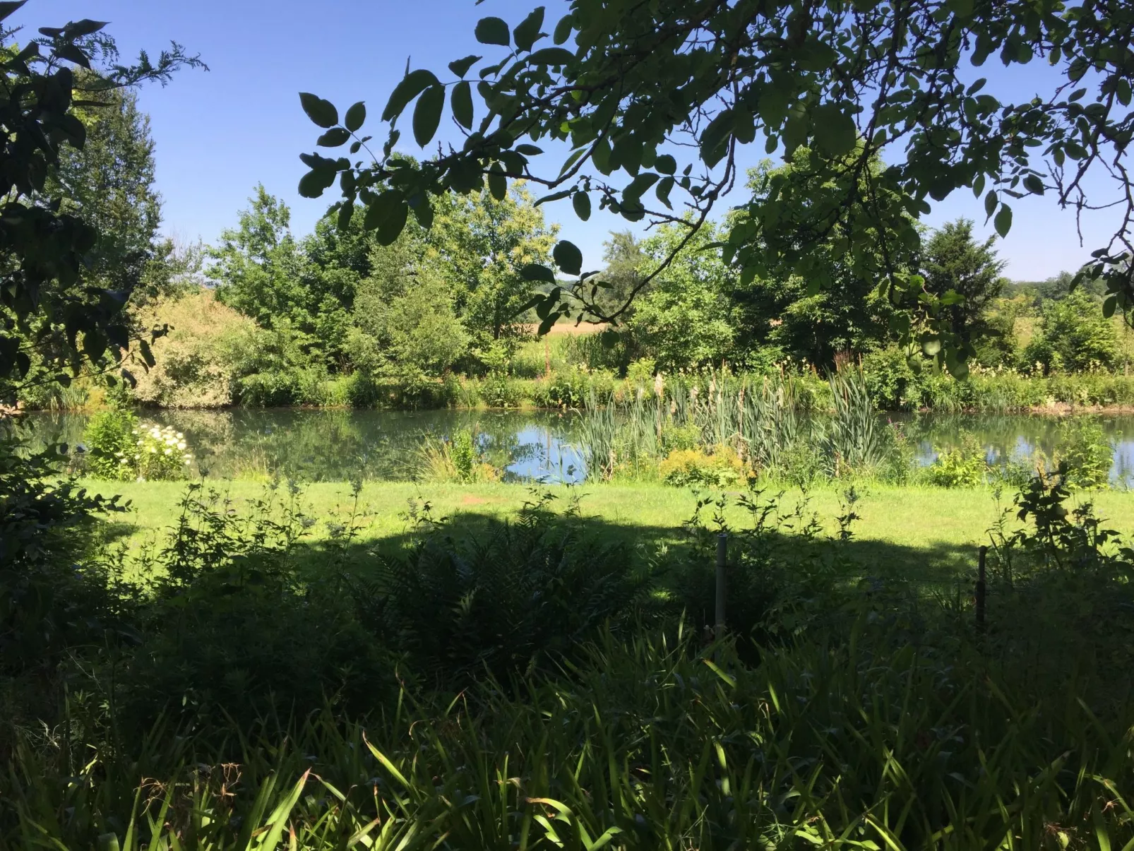 Ferienbungalow Anne-Draußen