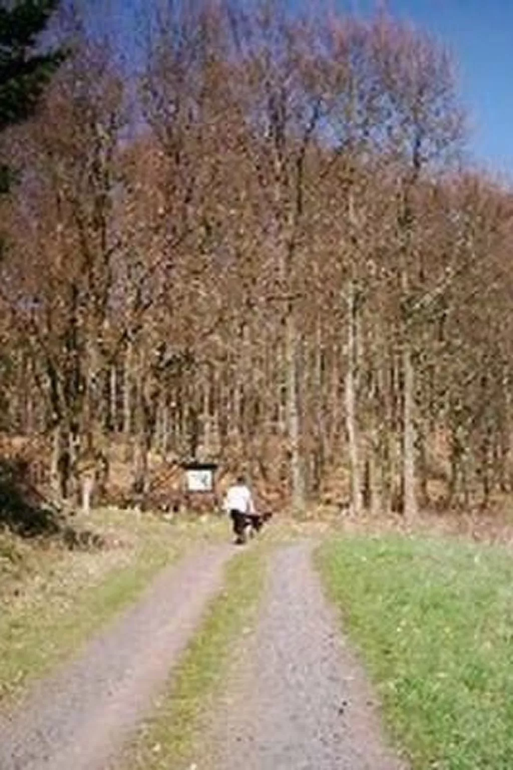 FEWO Juliana-Draußen