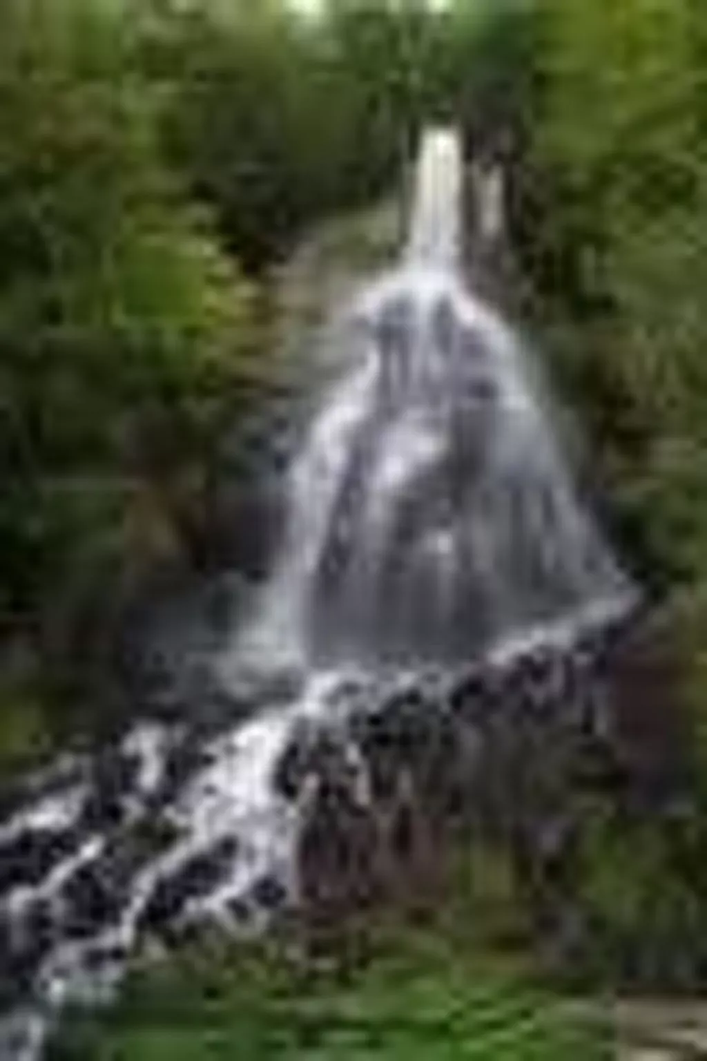 Für Naturliebhaber im Trusetal-Outside