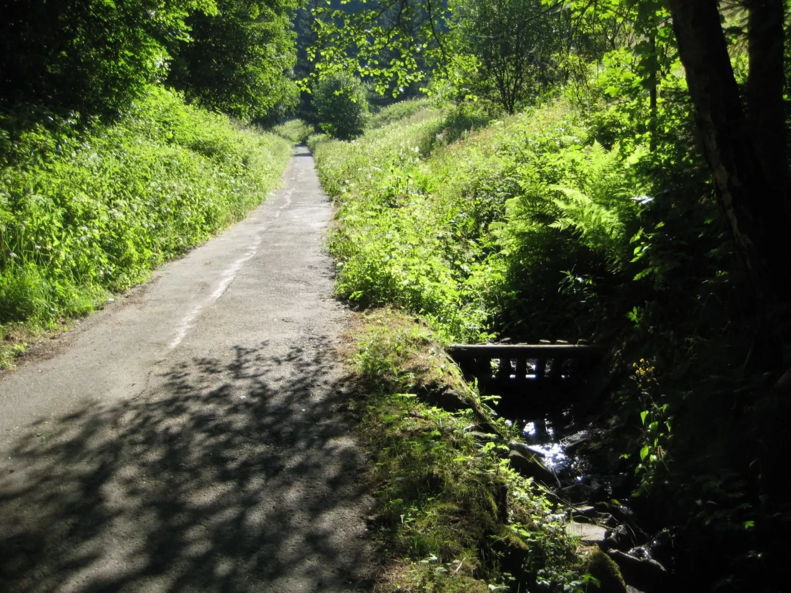 Magistartswohnung AltesRathaus-Dehors
