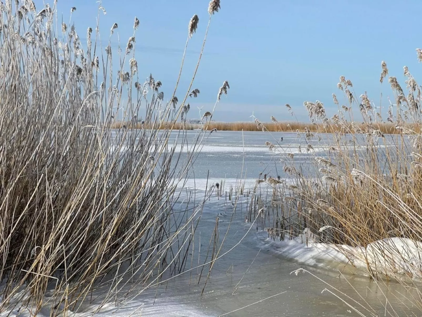 Ruhige Wohnung in Risum mit Garten und Terrasse-Dehors