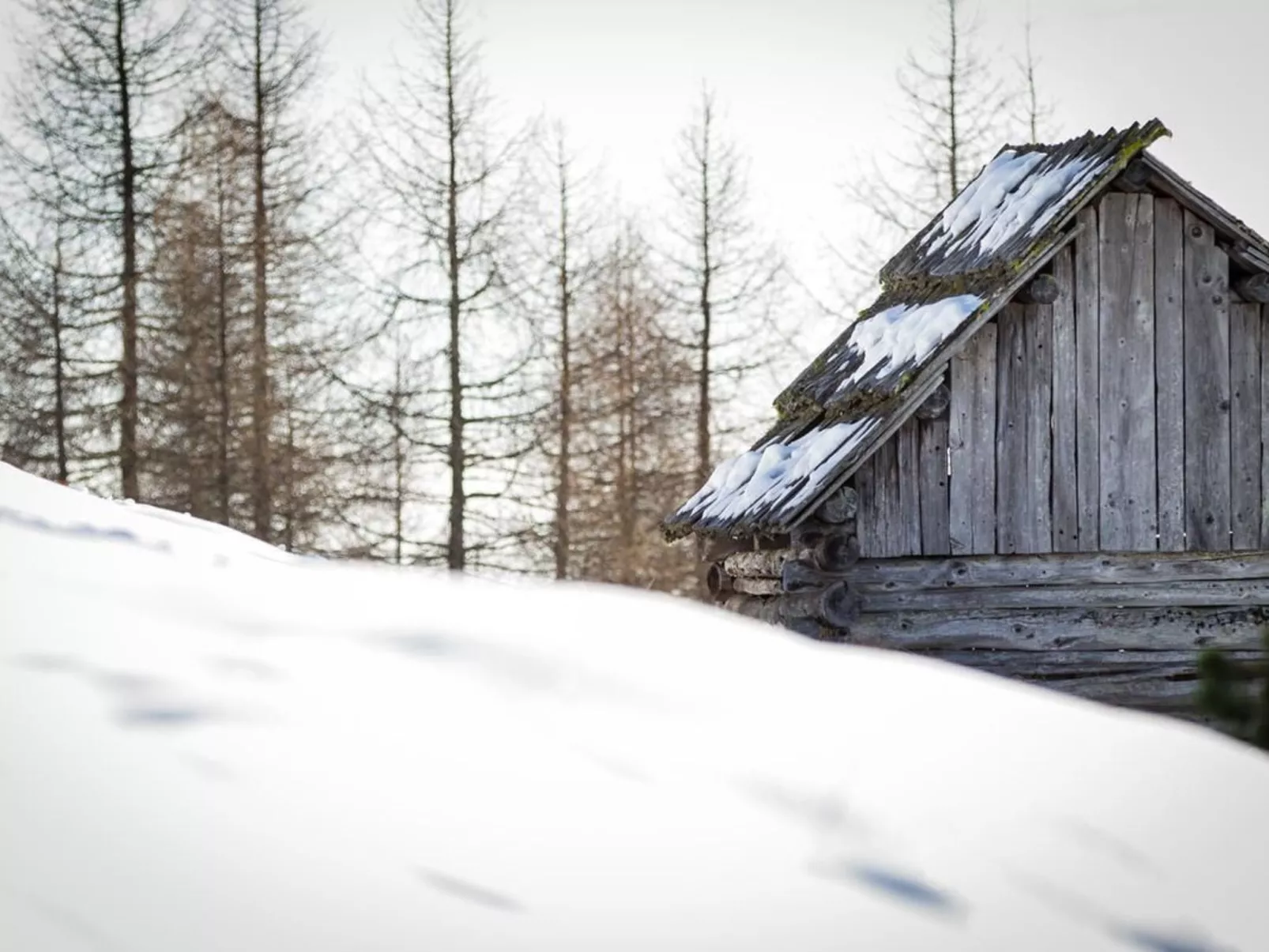 Almhütte Enzian-Dehors