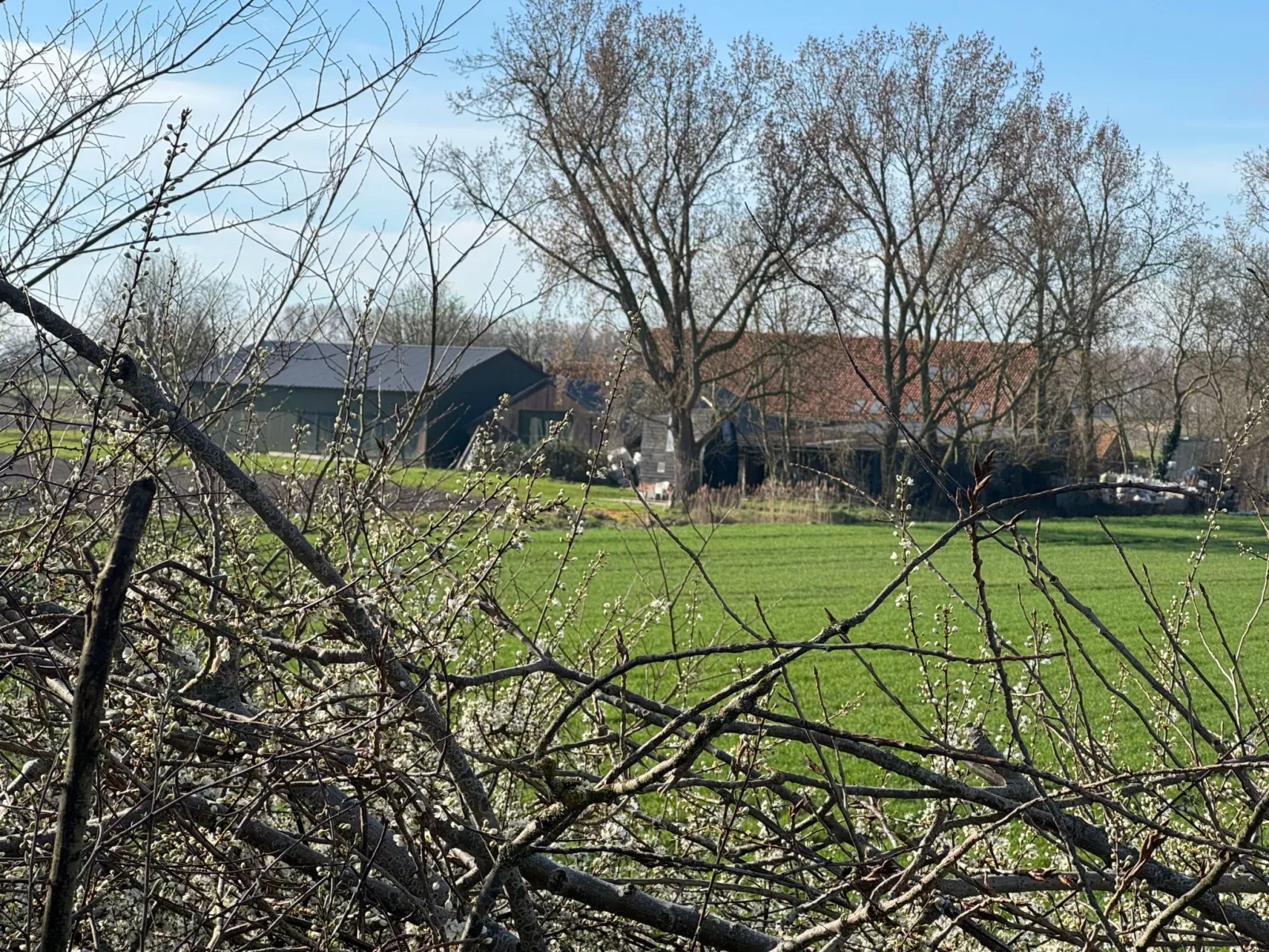 Luxus-App in der Scheune "Strandje groote Nol"-Draußen