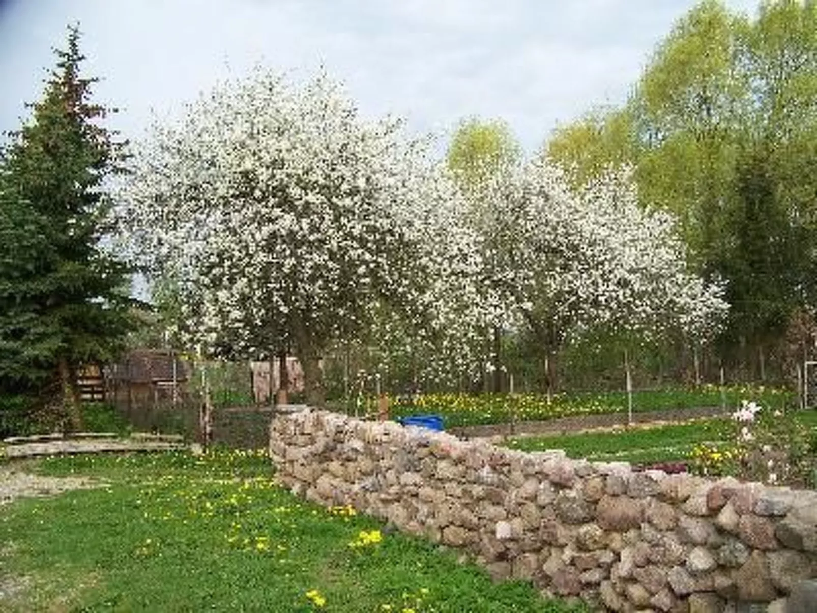 Zu den drei Schönen-Image-tags.info