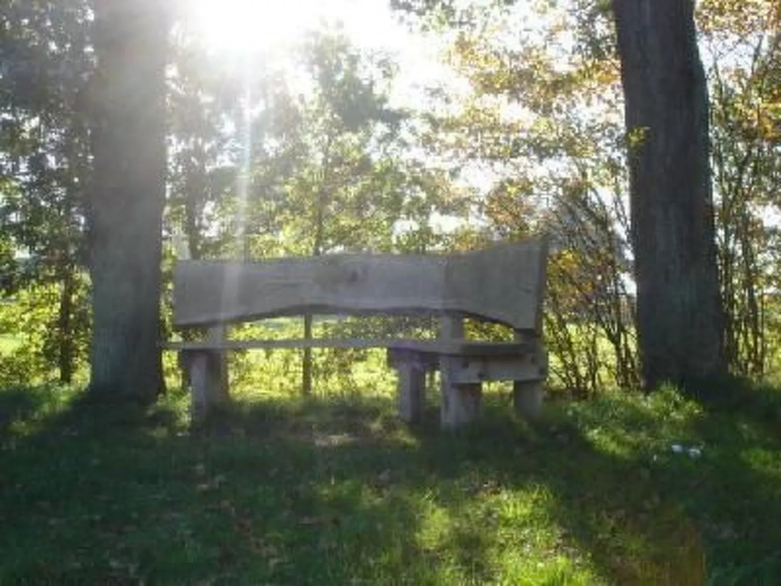 Gemütlicher Ferienhof Loosternest in Vriescheloo-Outside
