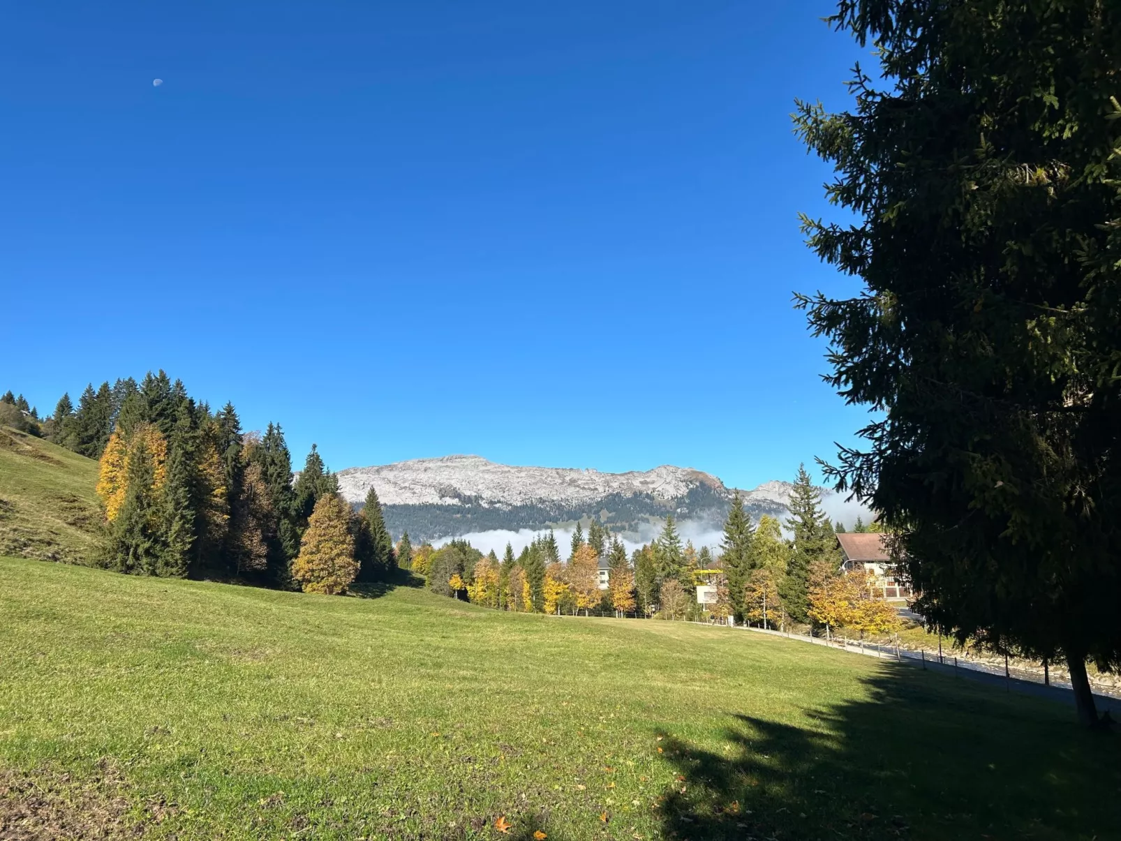 Wohnung Hirschi-Outside