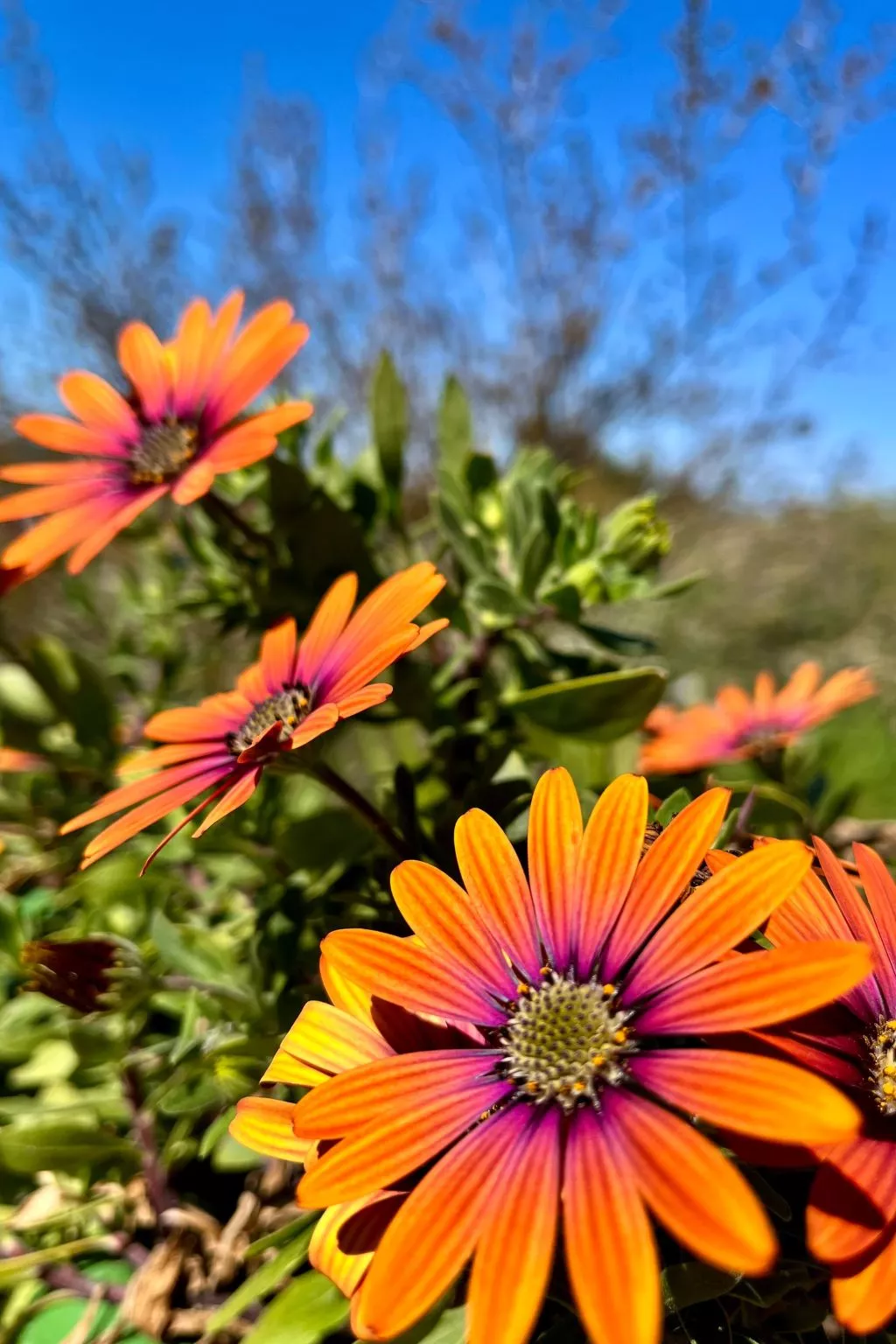 Neu erbautes Apartment mit großem Balkon-Dehors