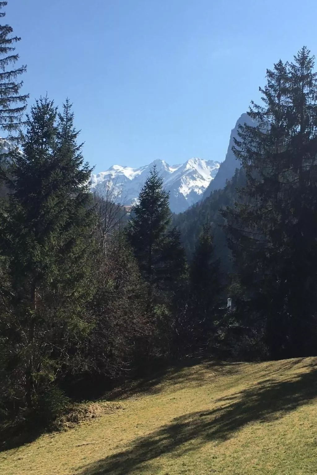 Chalet Park-Draußen