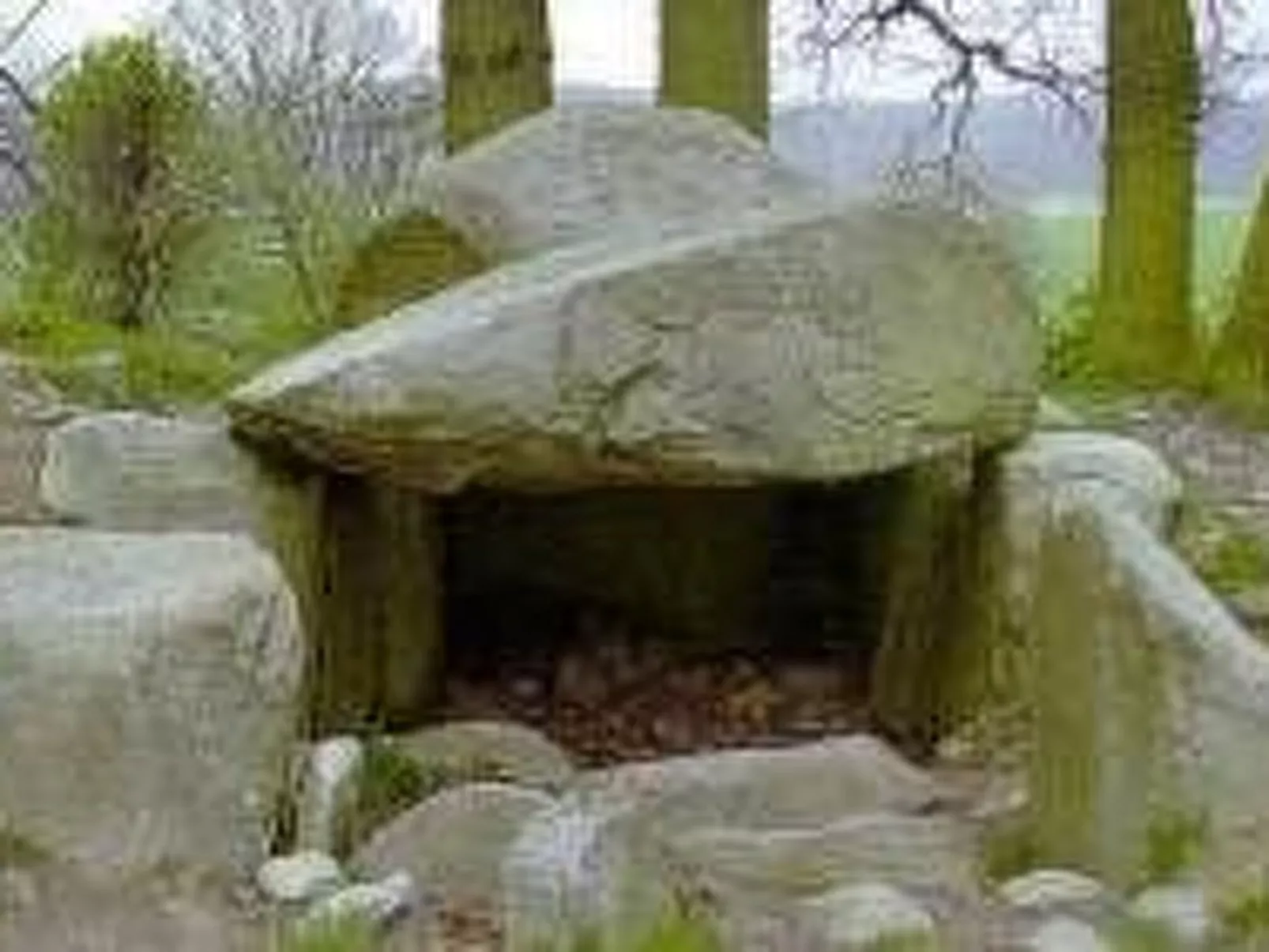 Strandnahe Ferienwohnung in ruhiger Lage-Outside