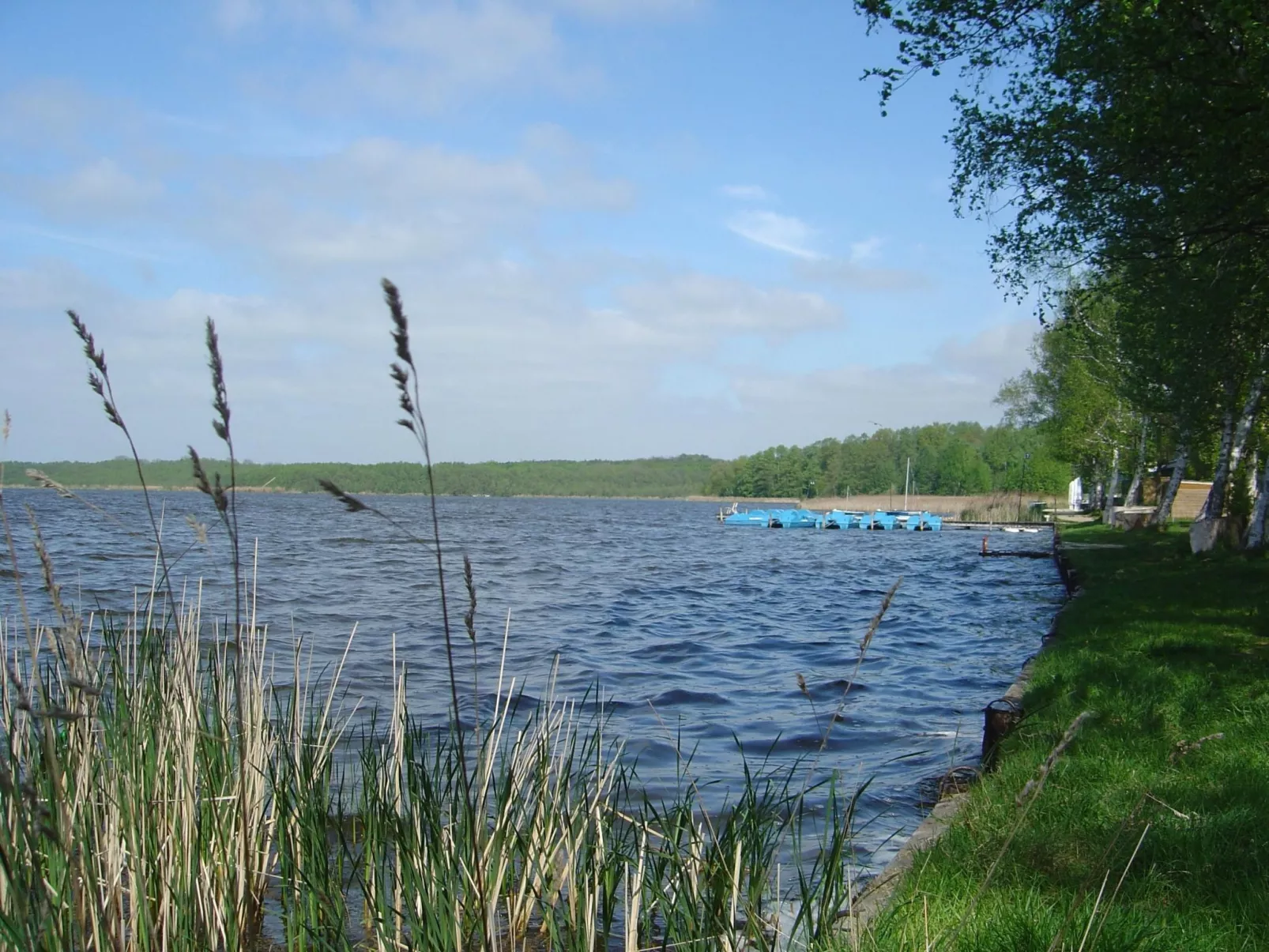 Helle Ferienwohnung für drei Personen-Draußen