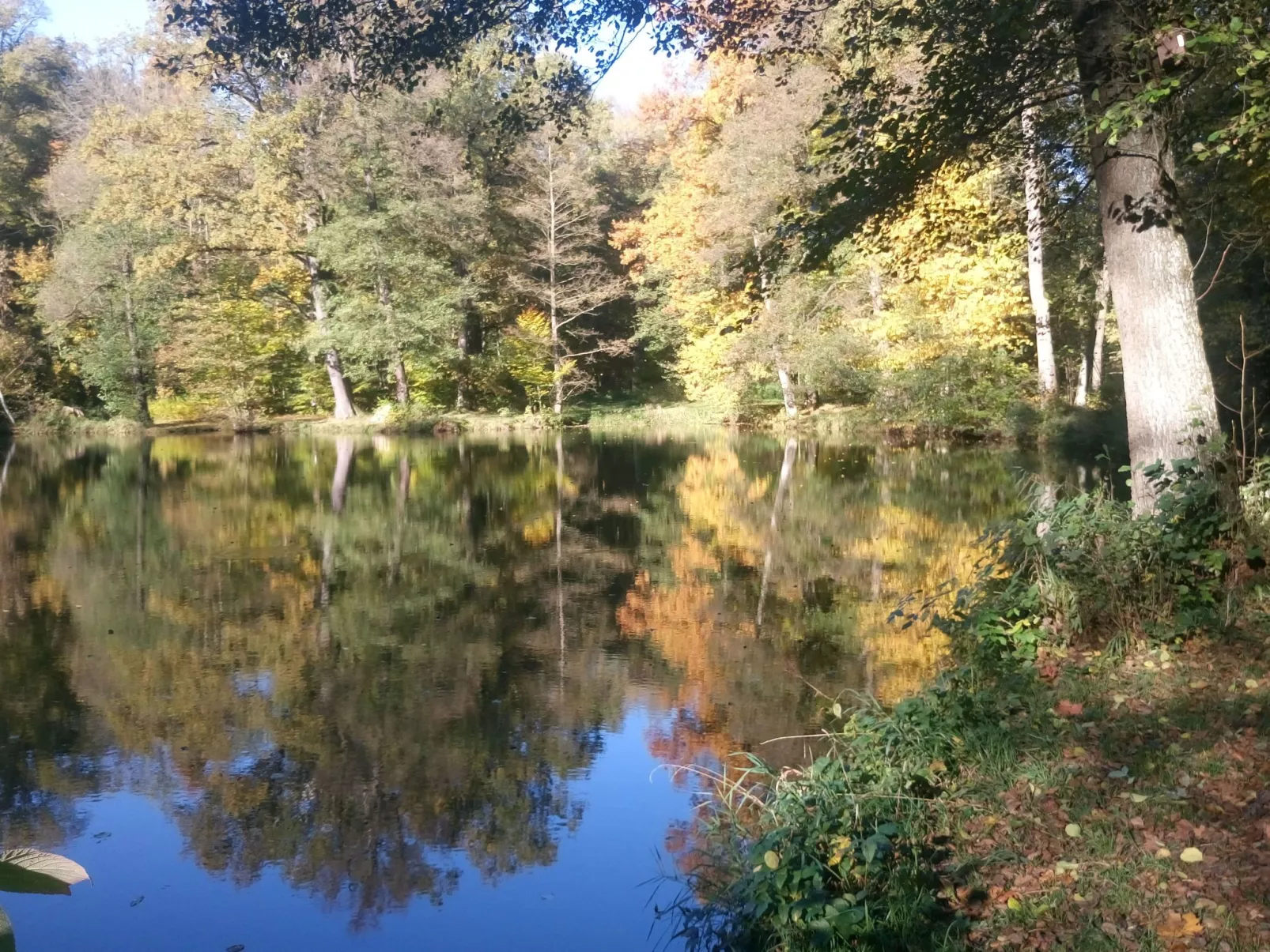 Alte Apotheke-Outside