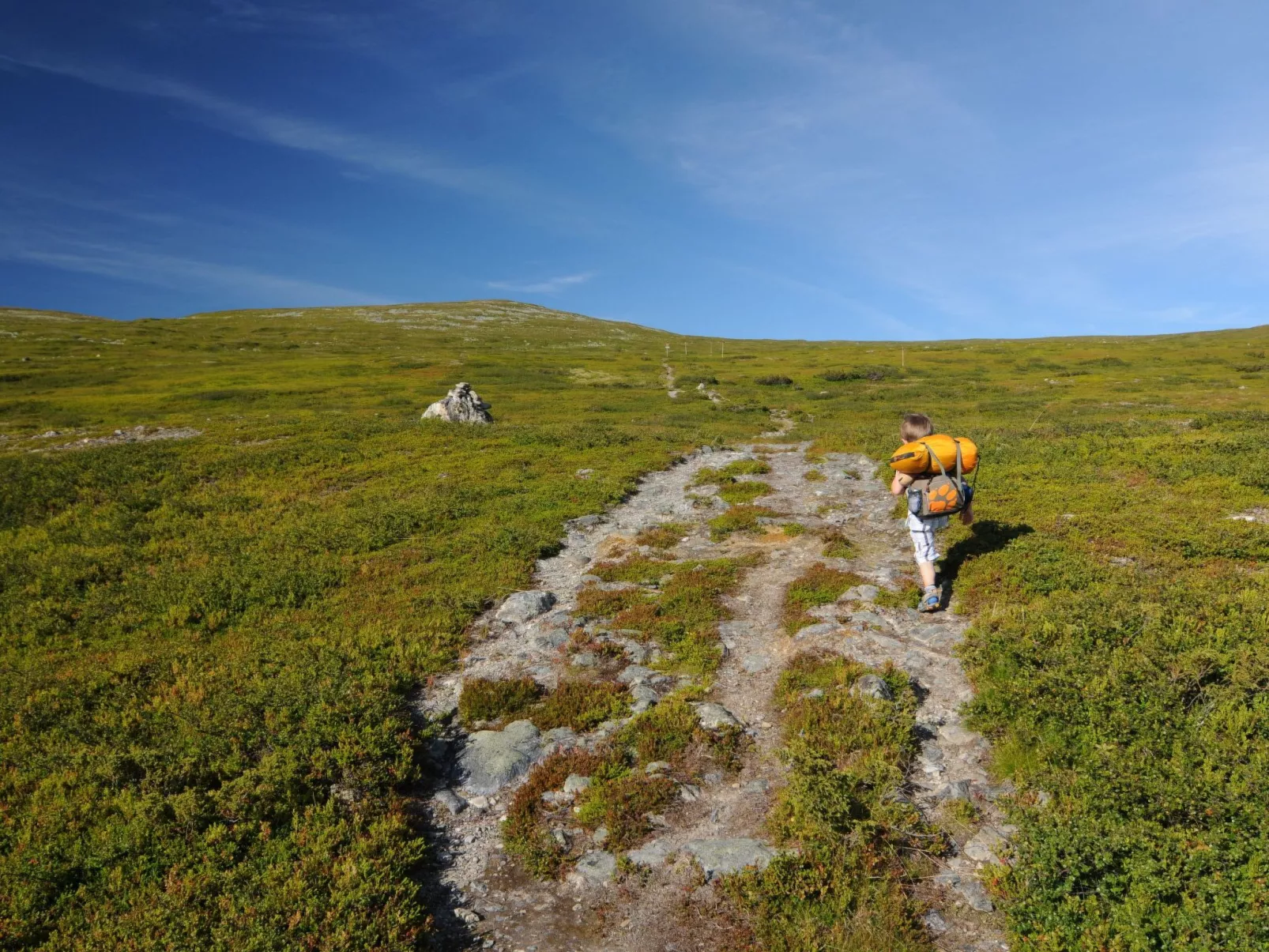 Charmantes modernes Blockhaus mit Kamin-Outside
