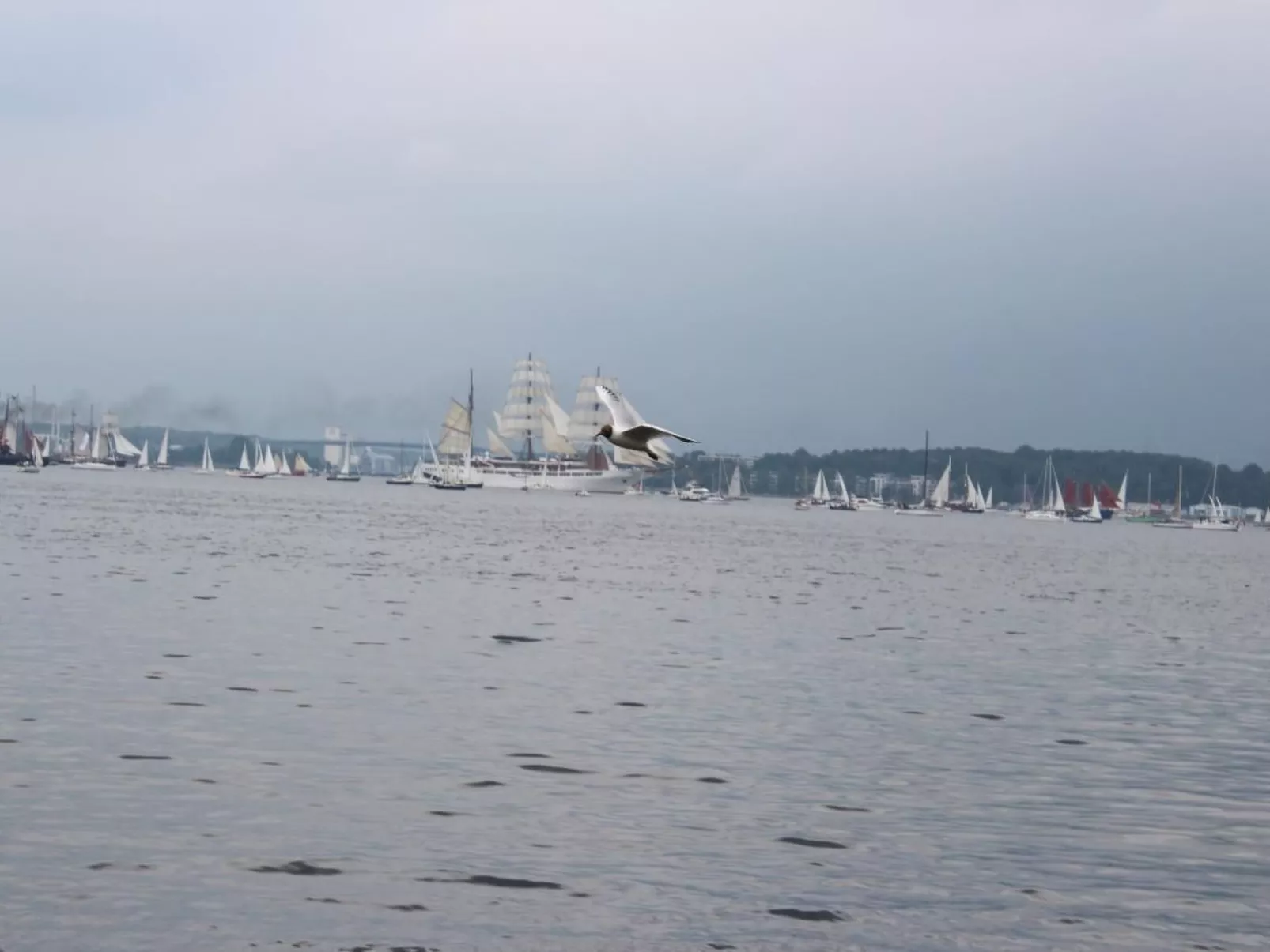 Appartement mit Garten, Grill und Terrasse-Image-tags.info