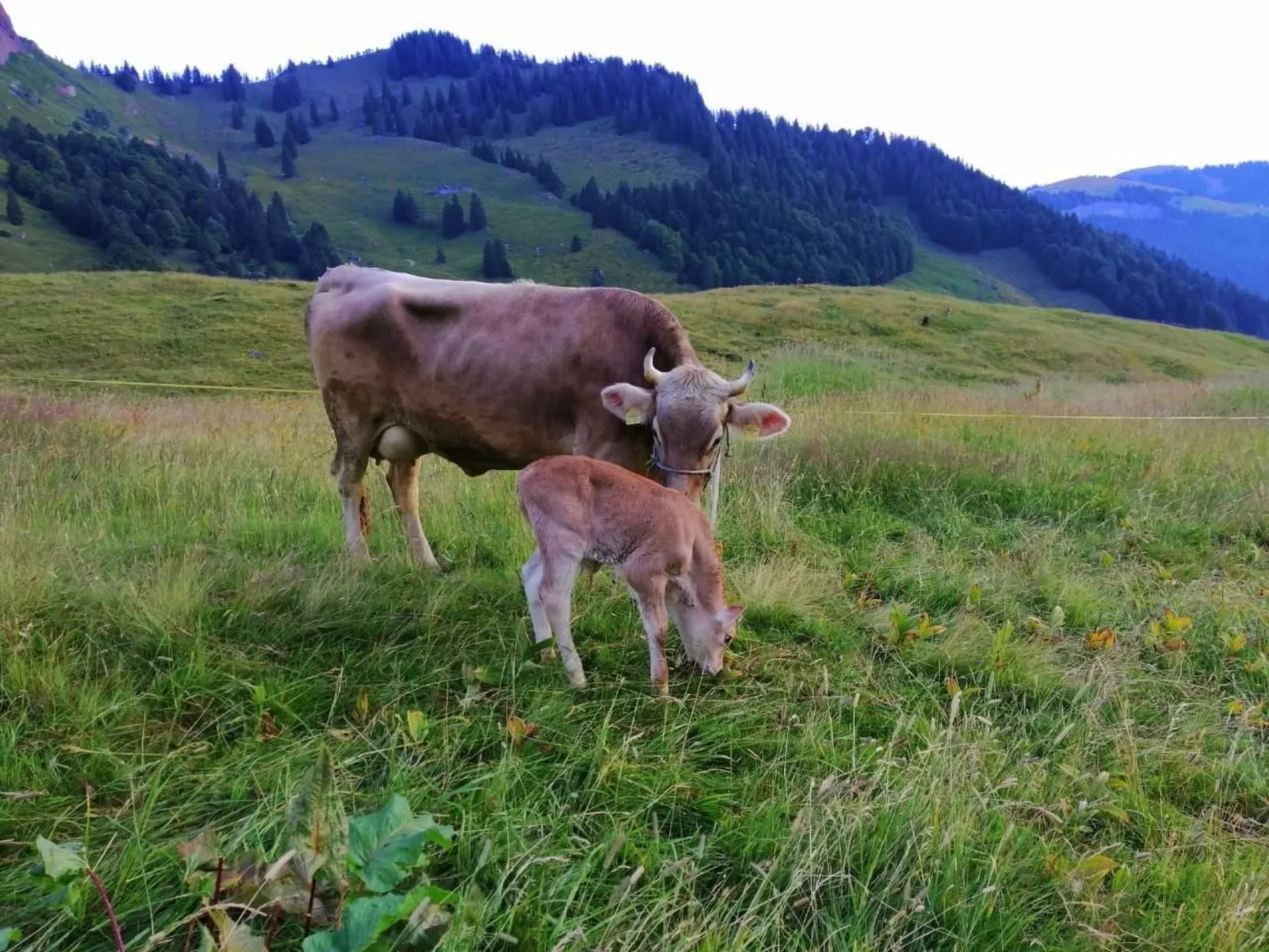 Ferien im Gugger - Wohnung Stockberg-Image-tags.info