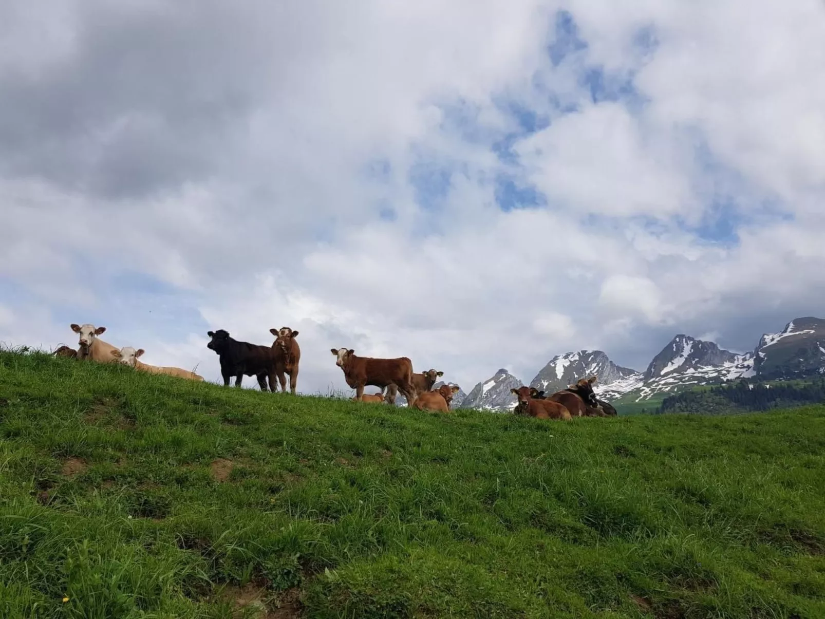 Ferien im Gugger - Wohnung Churfirsten-Outside