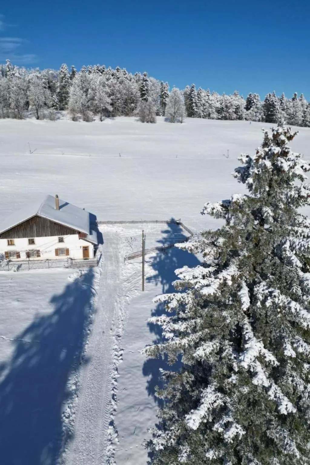 La ferme de la gaby-Draußen