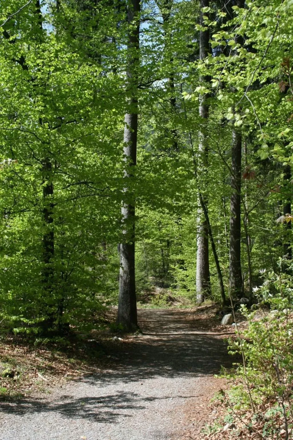 Fewo mit Herz-Draußen