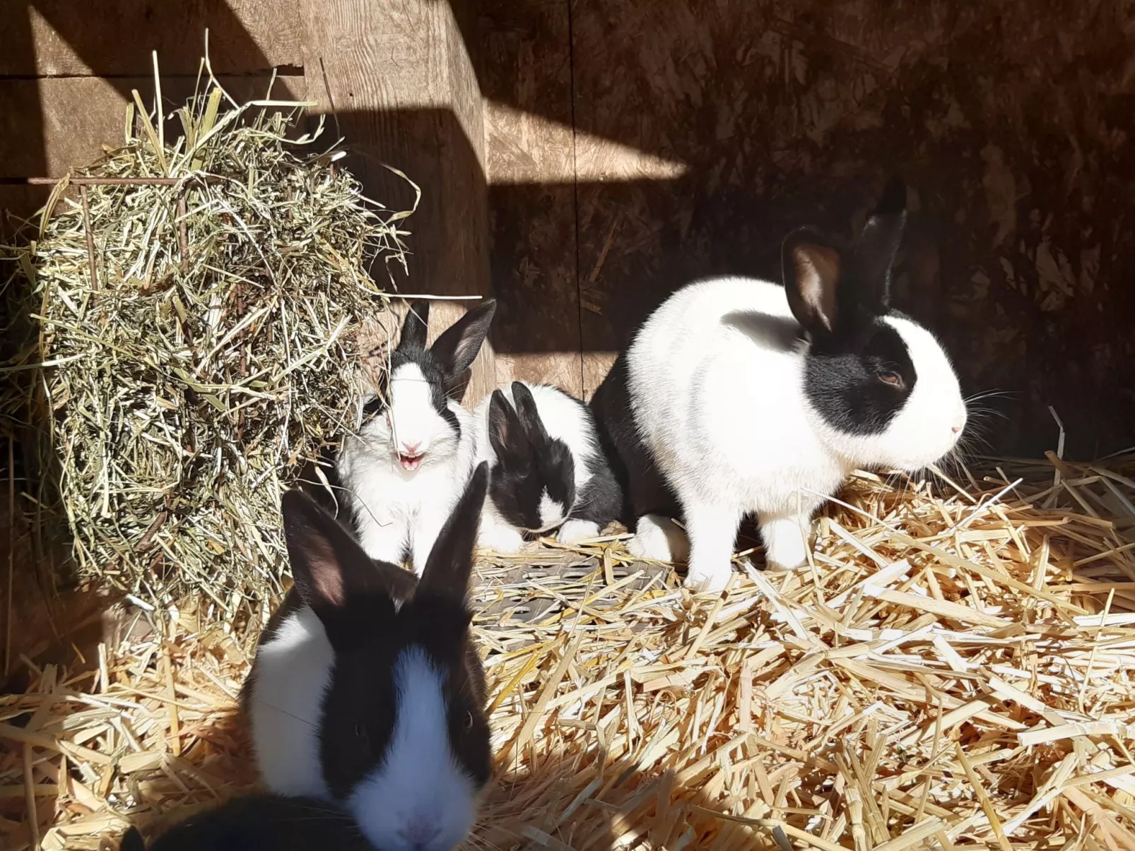 Rothornblick-Image-tags.info