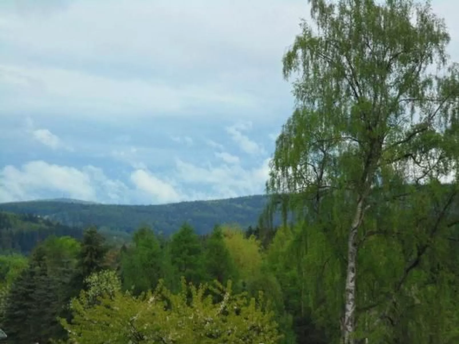 Mit Blick auf das Wasser-Draußen