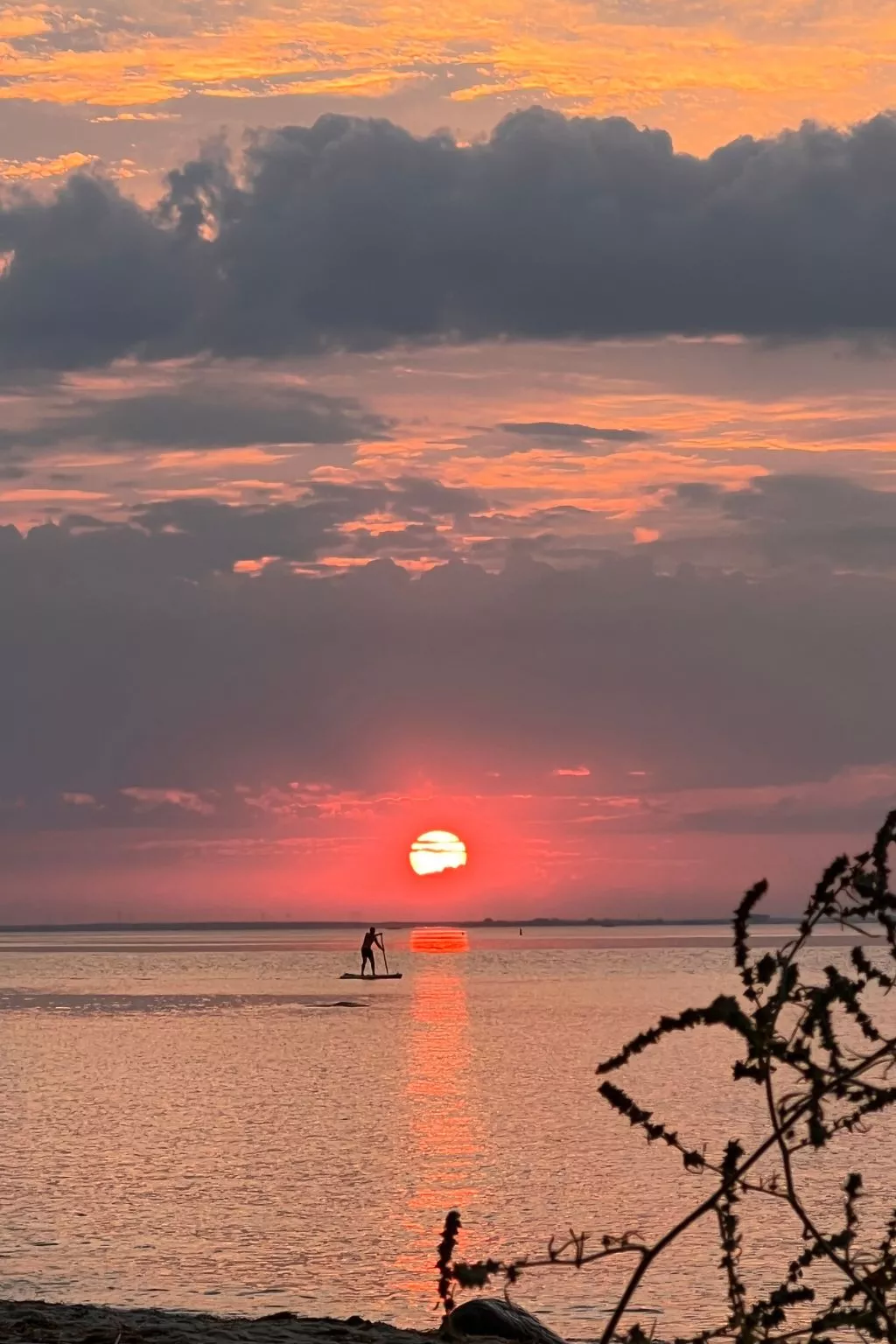 Stormy im Nauticum-Outside