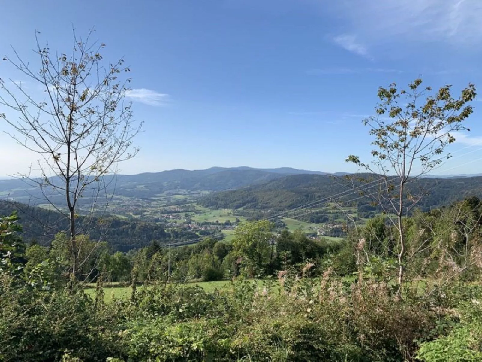 Bayerischer Wald auf 800m Höhe-Willkommen-Dehors
